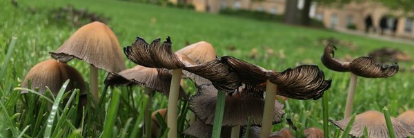 hamiltonerics Profile Banner