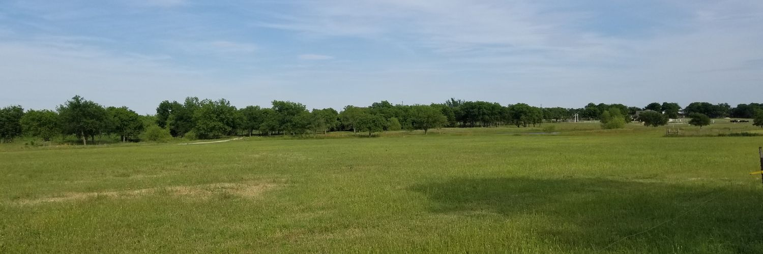 TREMann10's profile banner image