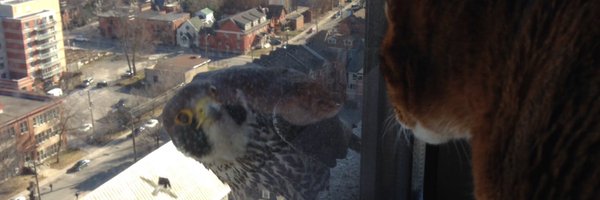 FlavellG Profile Banner