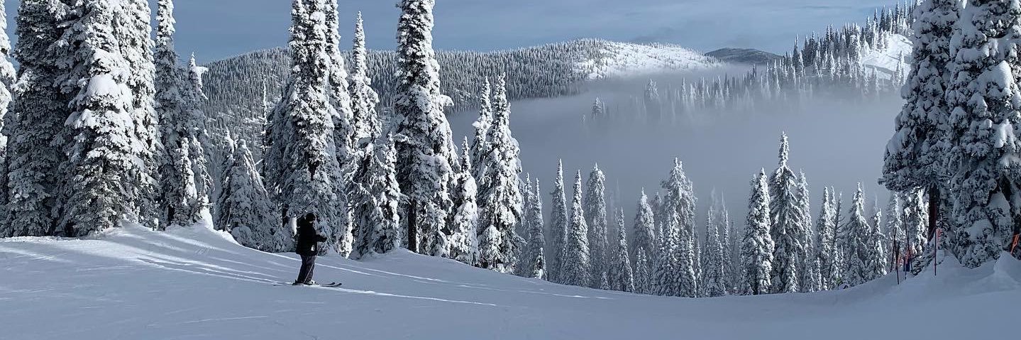 michaelwhill2's profile banner image