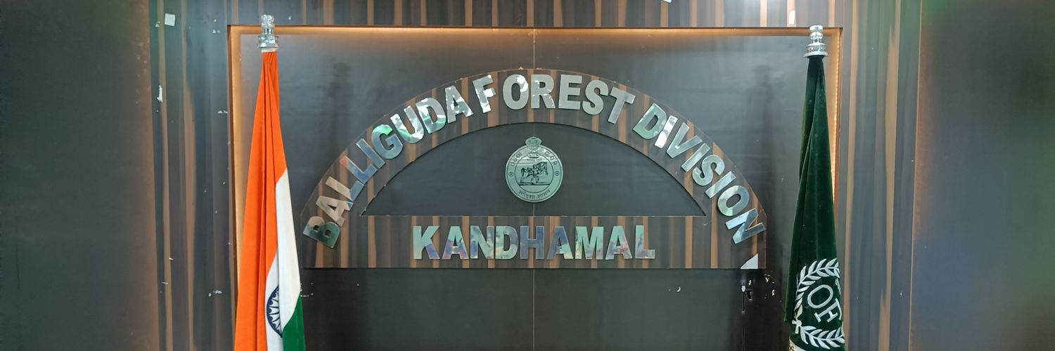 dfo_balliguda's profile banner image