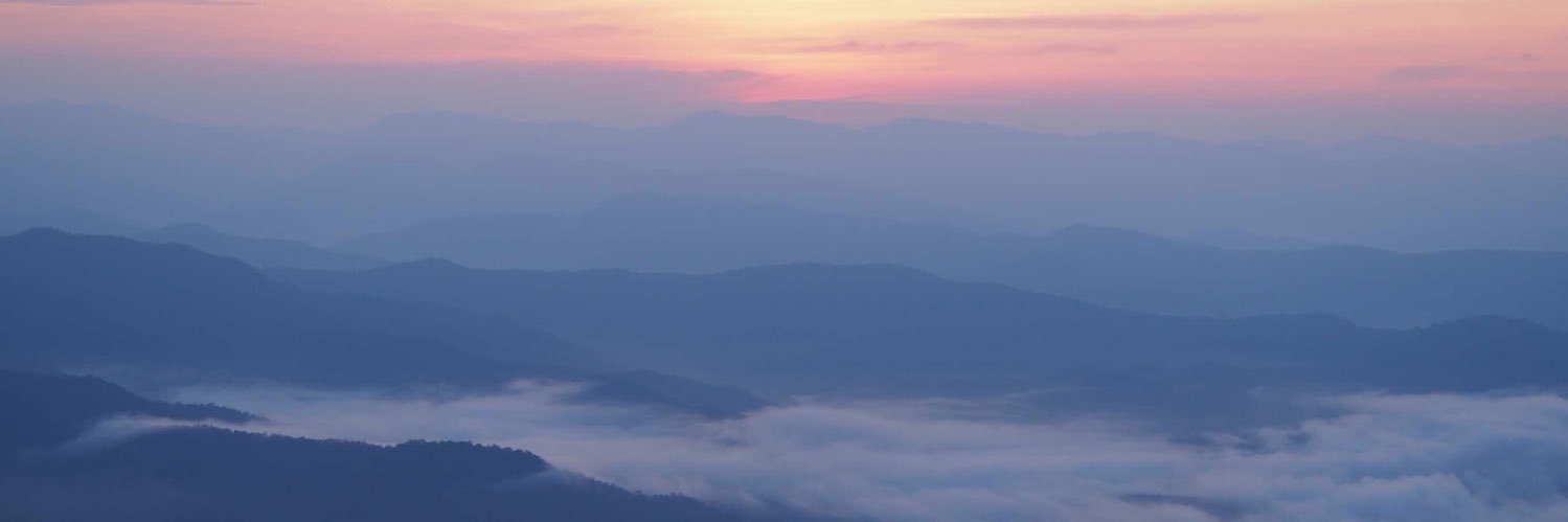 Nok_Runnaway banner