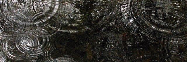 jaherndodson's profile banner image