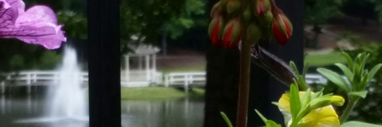 patpatmacmac's profile banner image