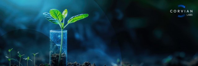 Corvian Labs banner