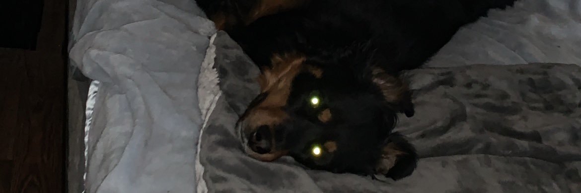 BewHelena's profile banner image