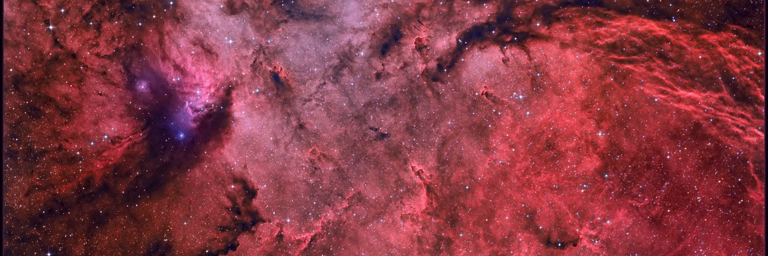 staycakey's profile banner image