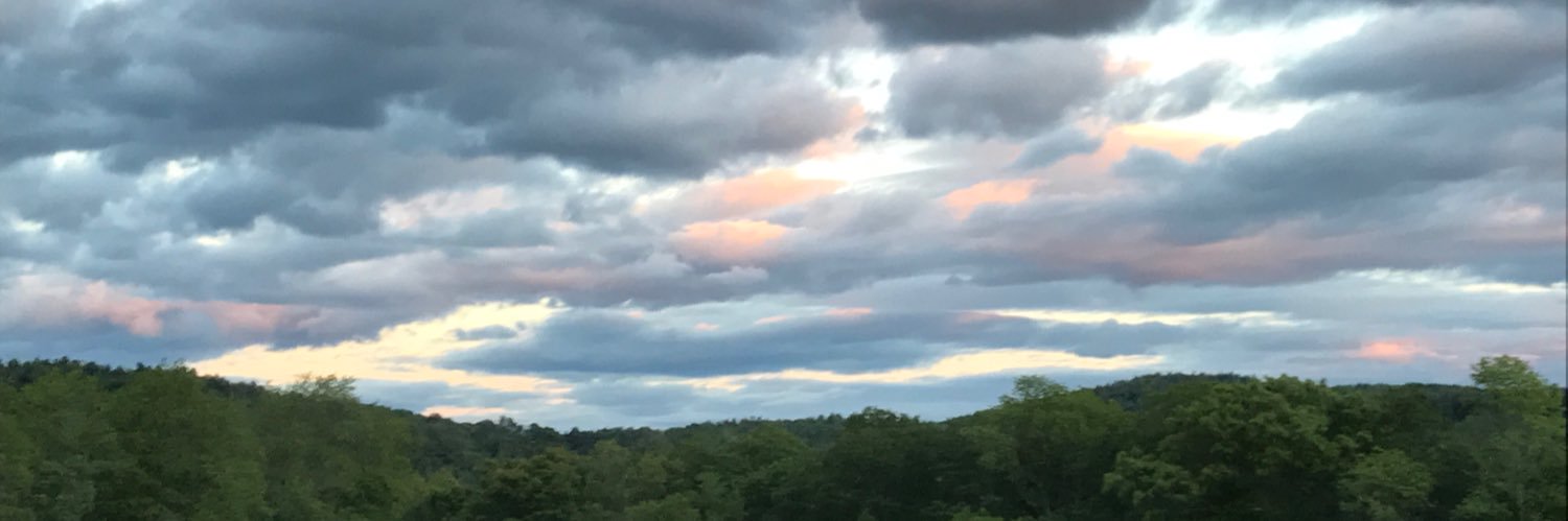 BruceWellman's profile banner image