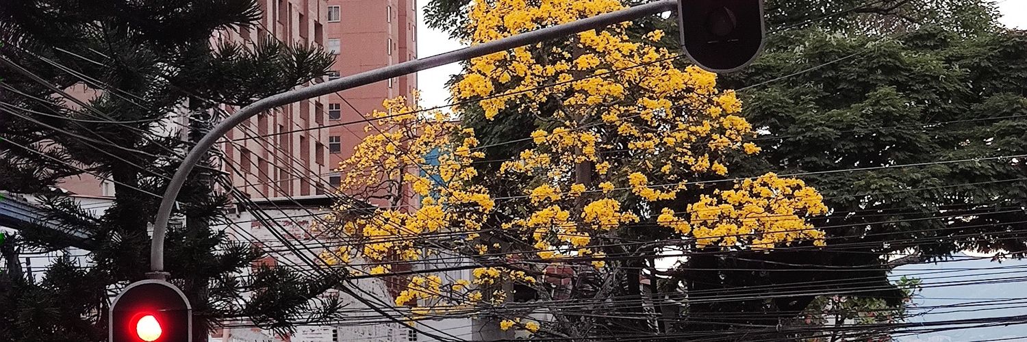mateopalaciosan's profile banner image