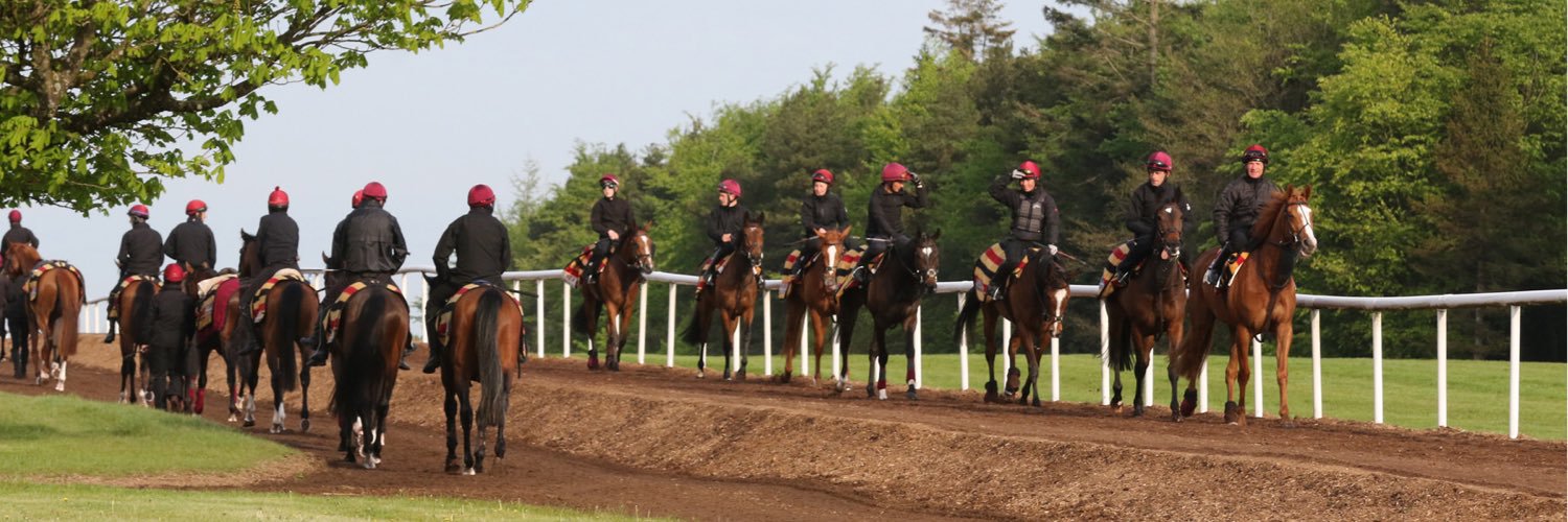Ballydoyle Racing banner