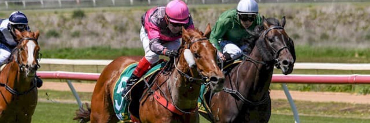 Michael De Pasquale banner