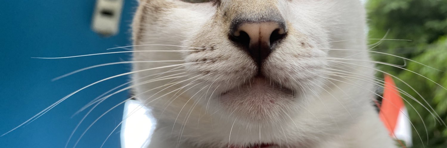 ordinarydewis's profile banner image