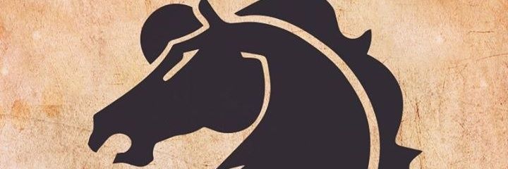 Mario Gonzalez banner