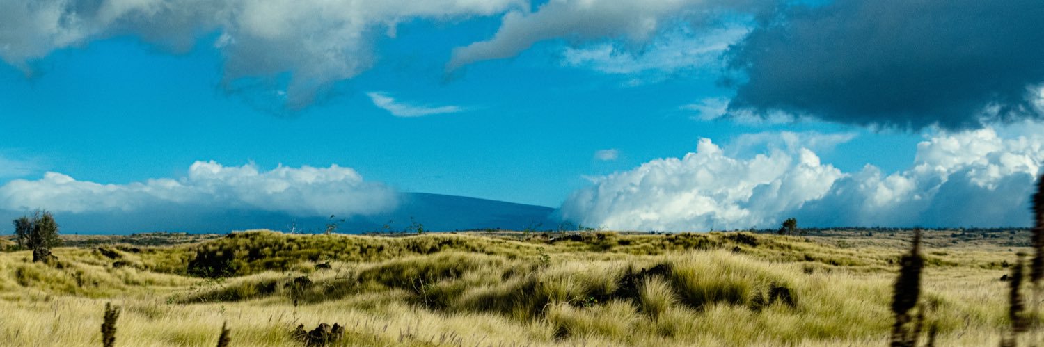vellutaco's profile banner image