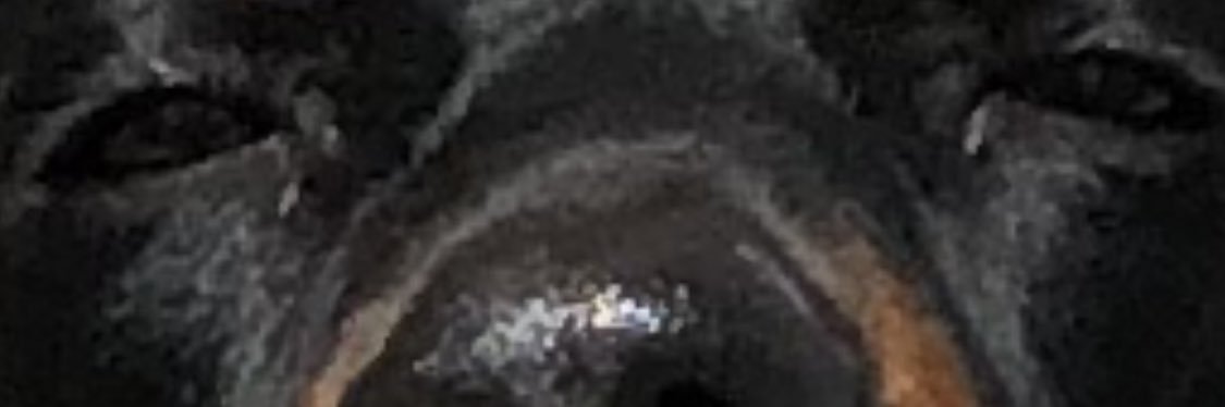 Grant_Edw's profile banner image