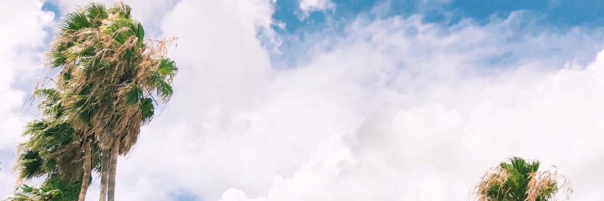 debbiesummer1's profile banner image