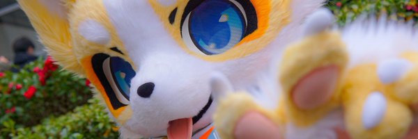 NoremFox Profile Banner