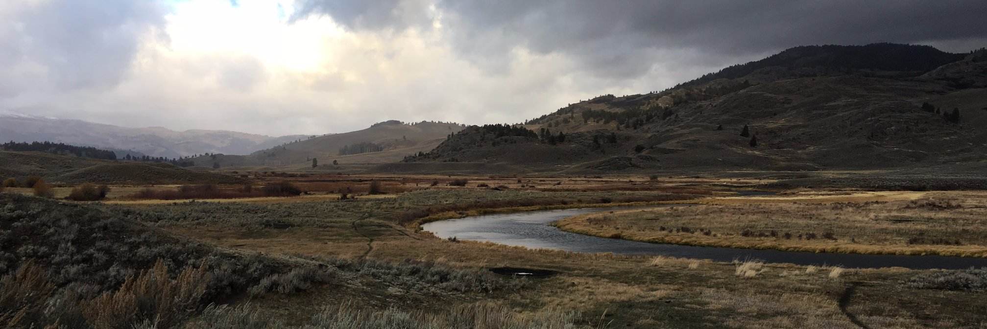 Johnnie Walker banner