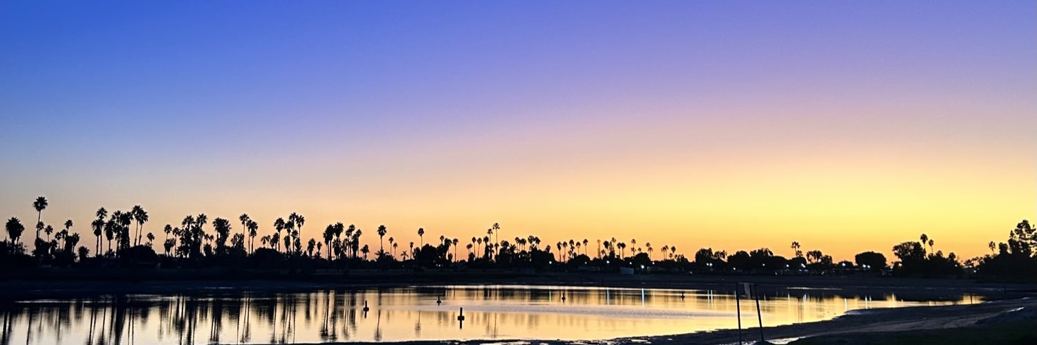 IrisDelaney's profile banner image