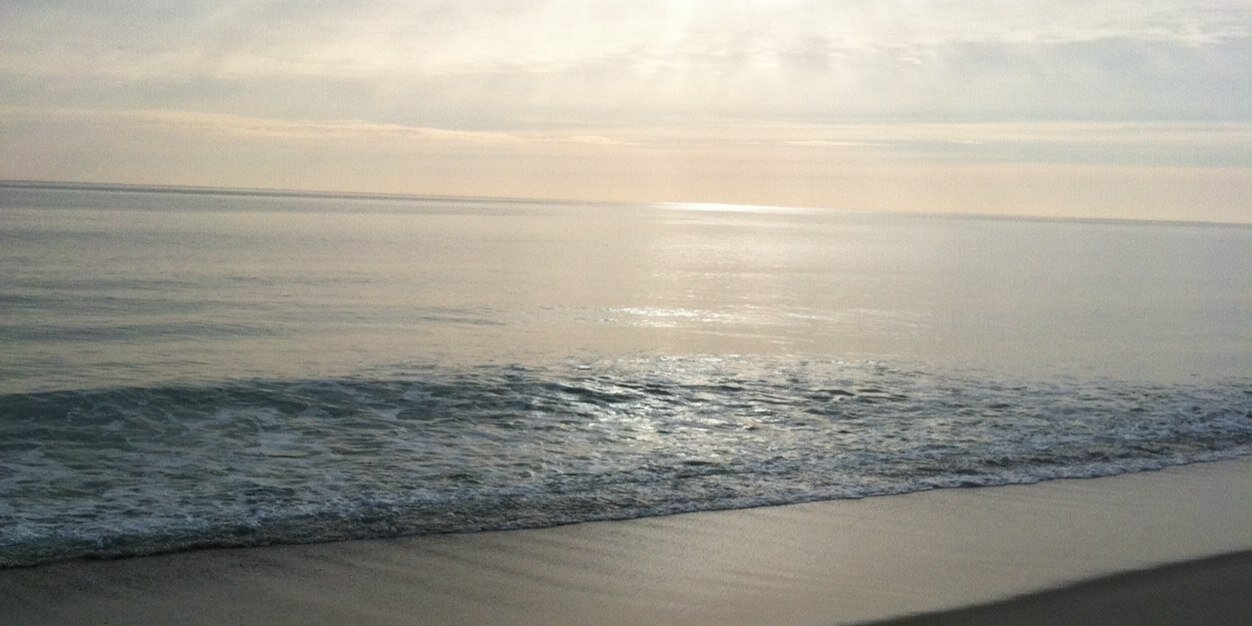 EricaStasack's profile banner image