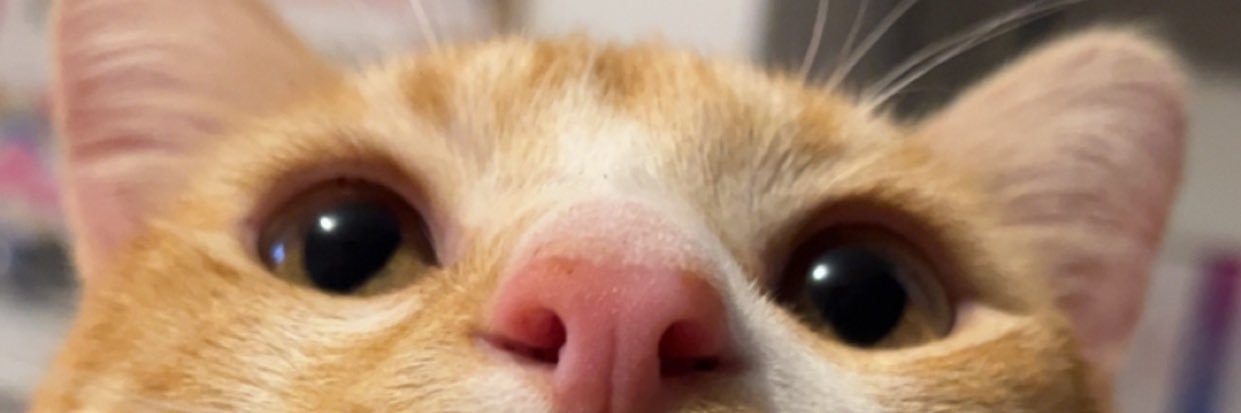 OceaneTassart's profile banner image