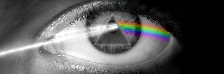 LamelaFN14's profile banner image