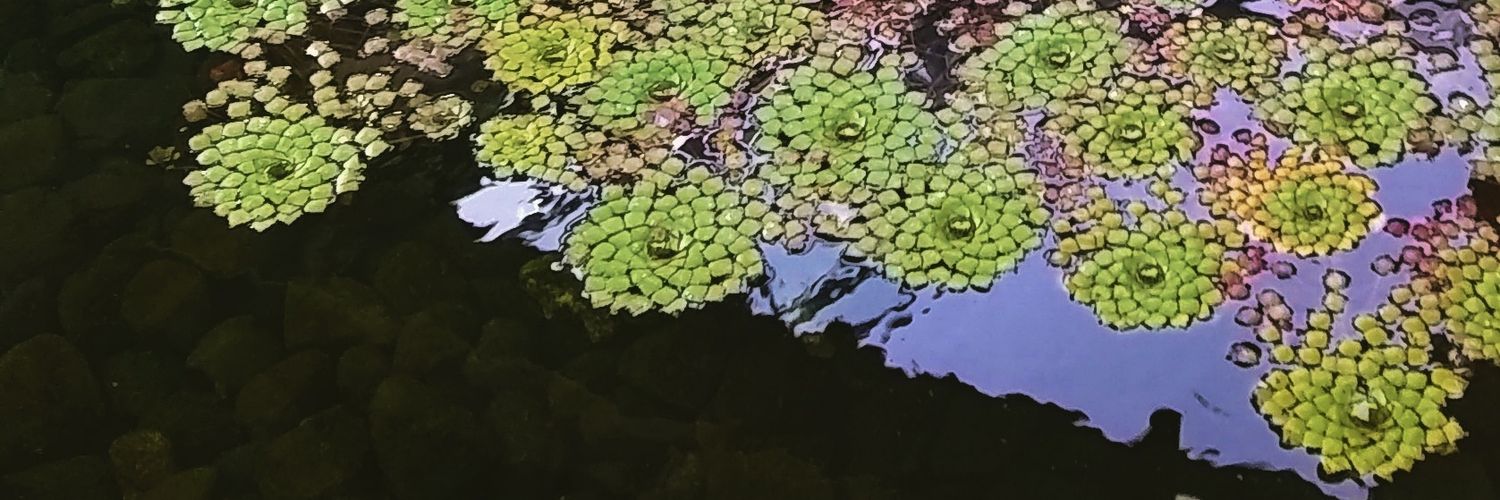JStepniak's profile banner image