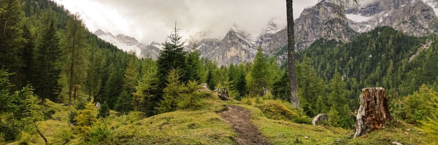 Marlo Paßler banner