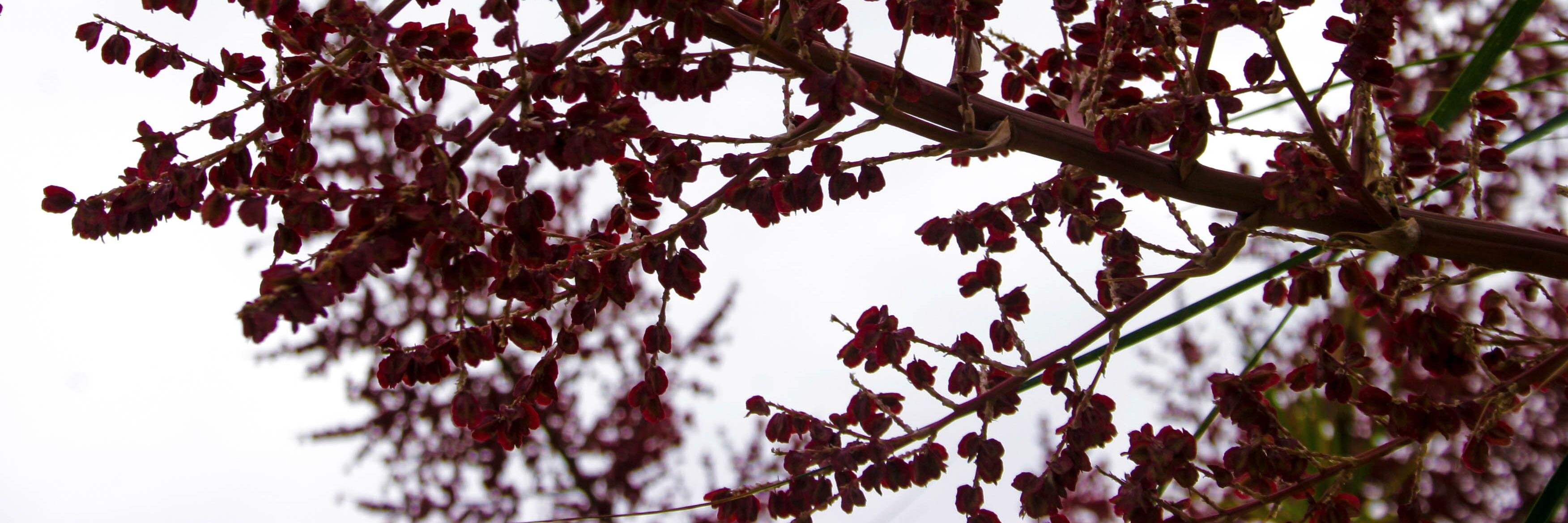 ahintofsparkle's profile banner image