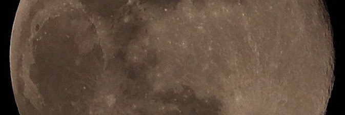 fuyukireal's profile banner image