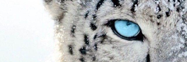 ngga_jhon's profile banner image