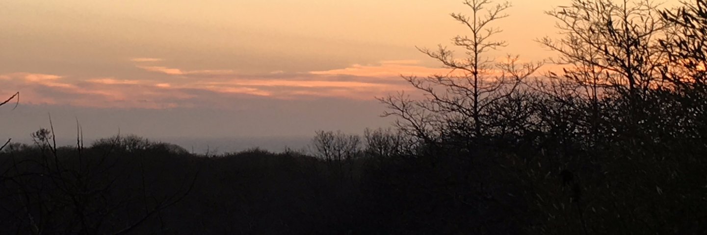 Dr. Jen Freeman banner