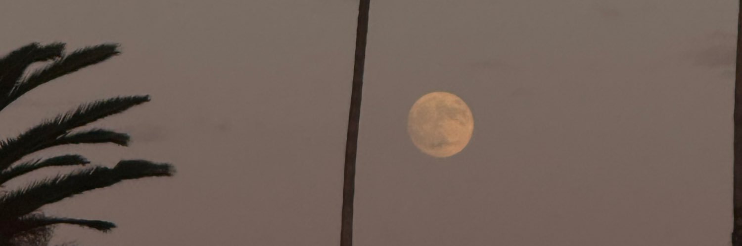 itzelarroyom's profile banner image