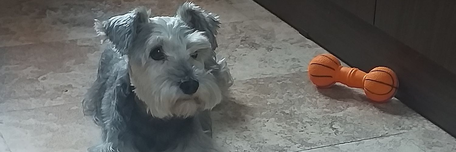 nbconz's profile banner image