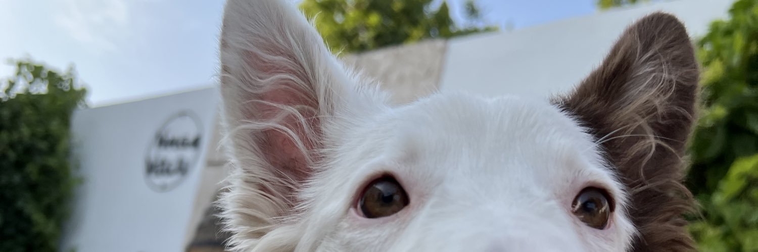 FaanyMtz's profile banner image