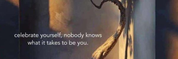 Dannykingaer Profile Banner