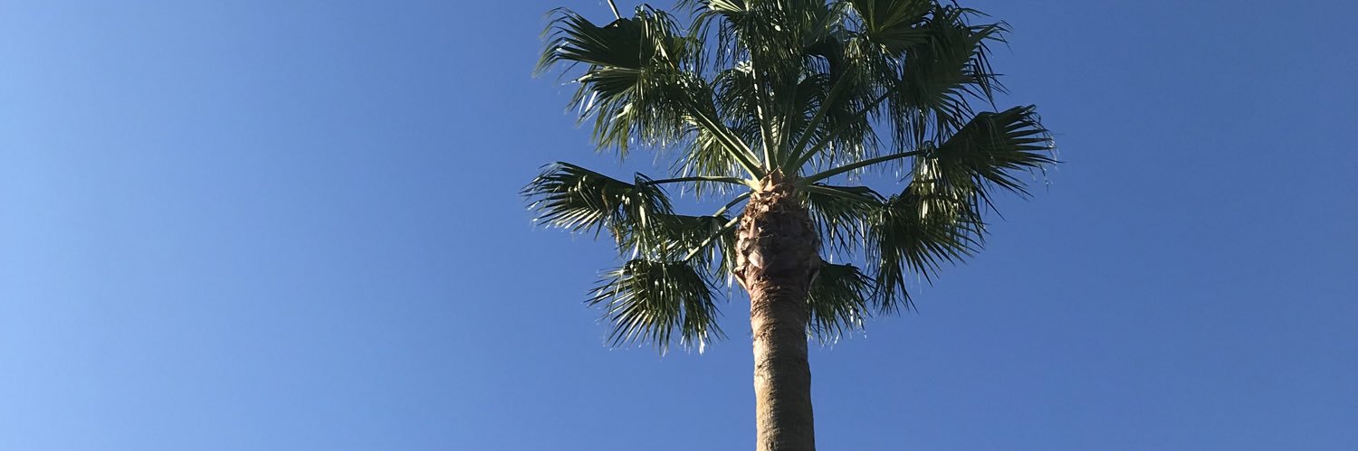 dilly banner