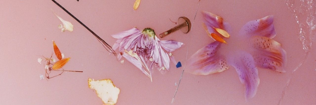 𝓜𝓪𝓵𝓲𝓱𝓪. banner