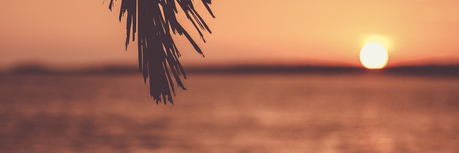 ElieMuluke's profile banner image