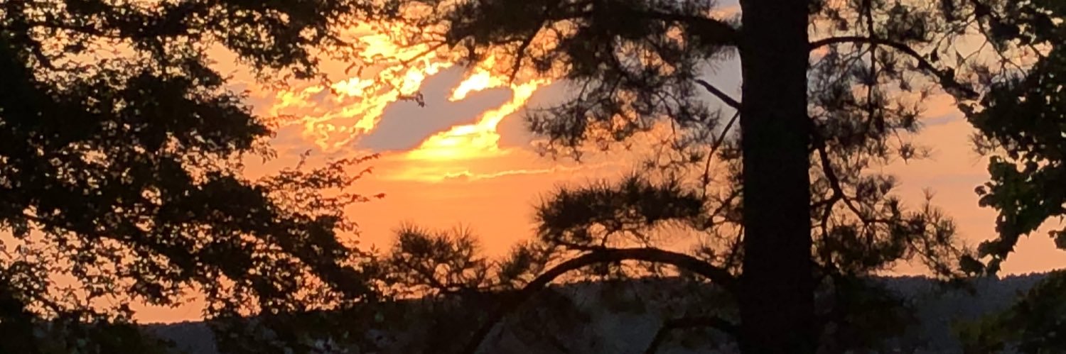 WwellsWells's profile banner image
