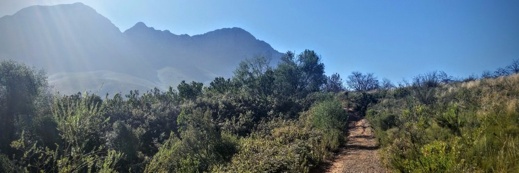 Dr. Katie Barnhill-Dilling banner