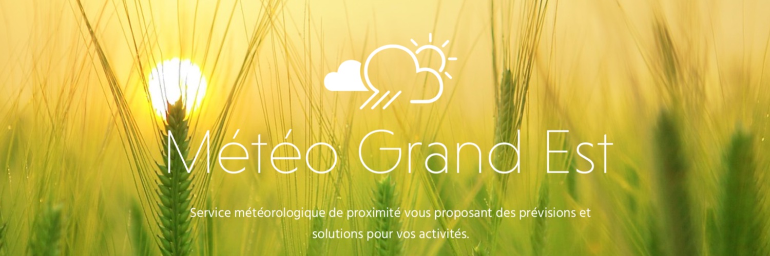 Météo Grand-Est banner