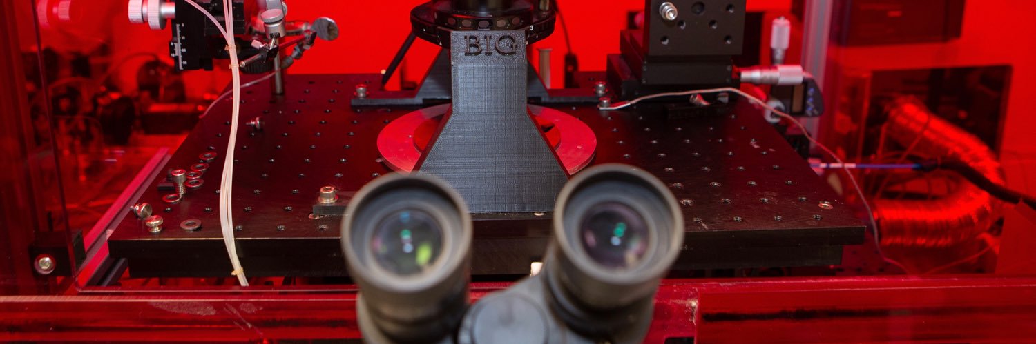 Caterina Strambio De Castillia banner