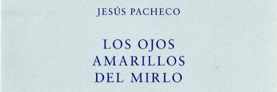 Jesús Pacheco's banner