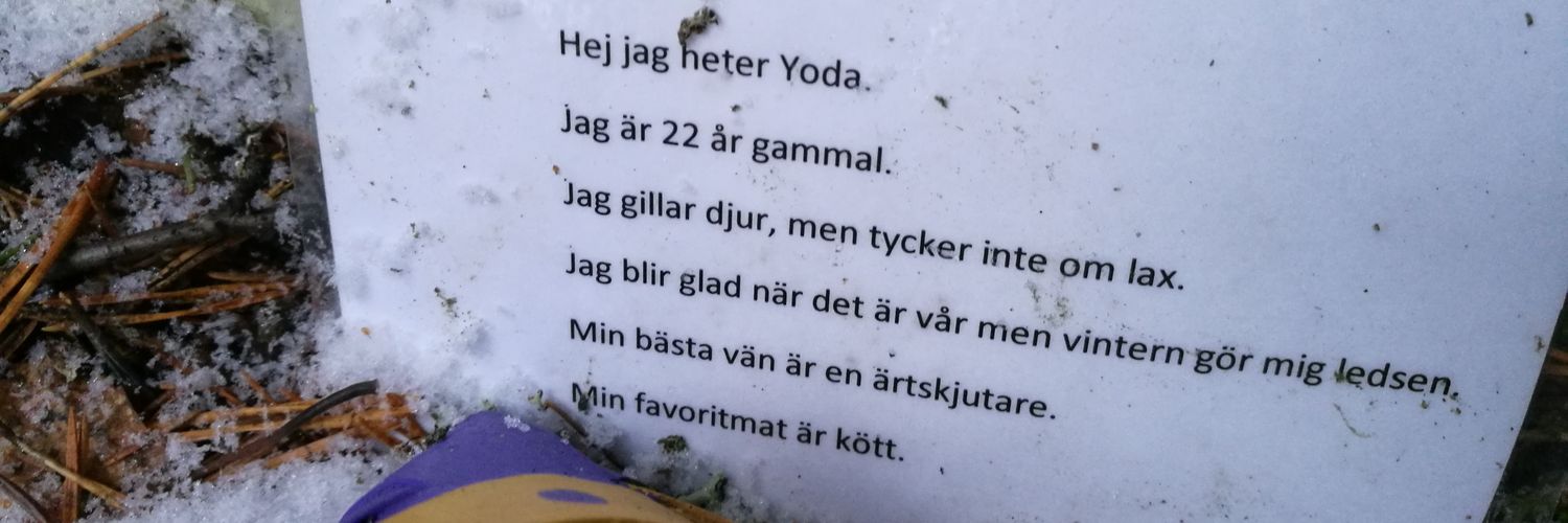 Chris Smedbakken banner