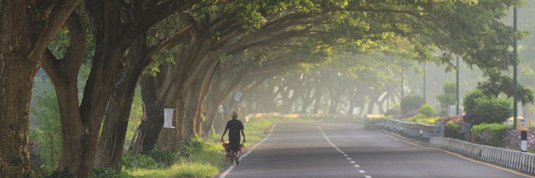 🍃 Bukit Segar 🍃 banner
