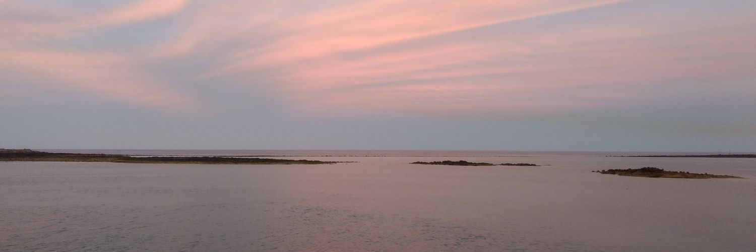 fefrn's profile banner image