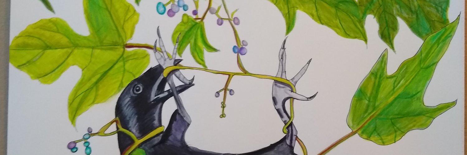 rasputinasbox's profile banner image