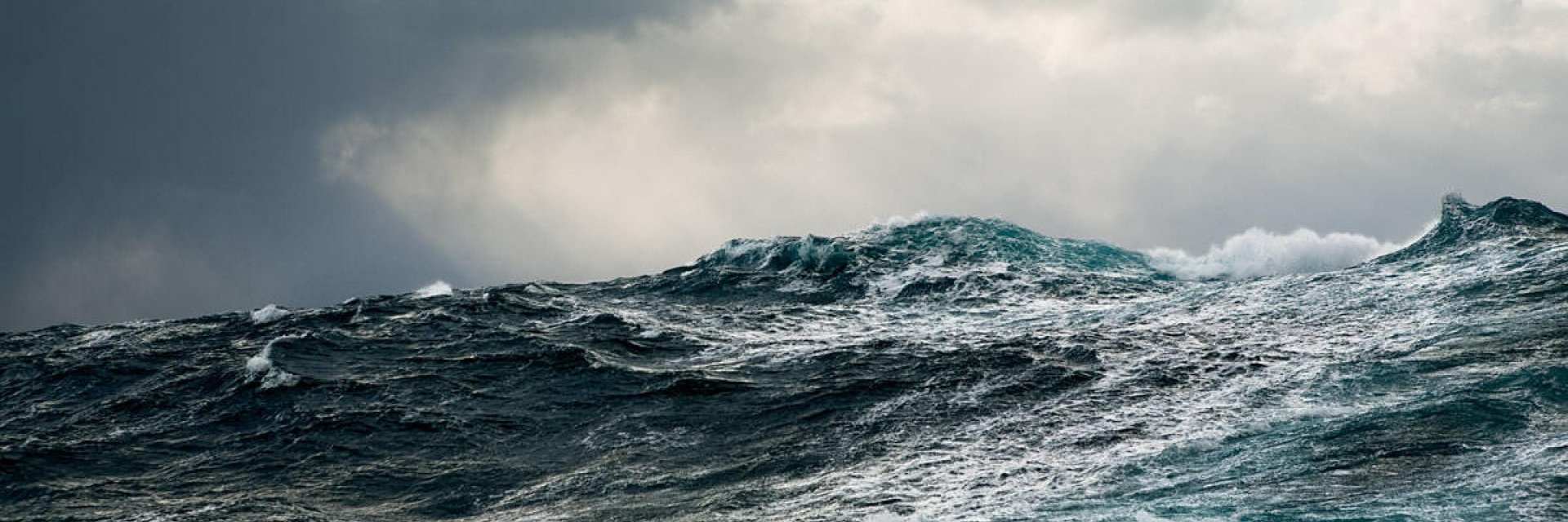 Prof. Joellen Russell banner