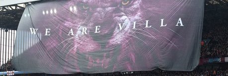 Todd Sasin banner